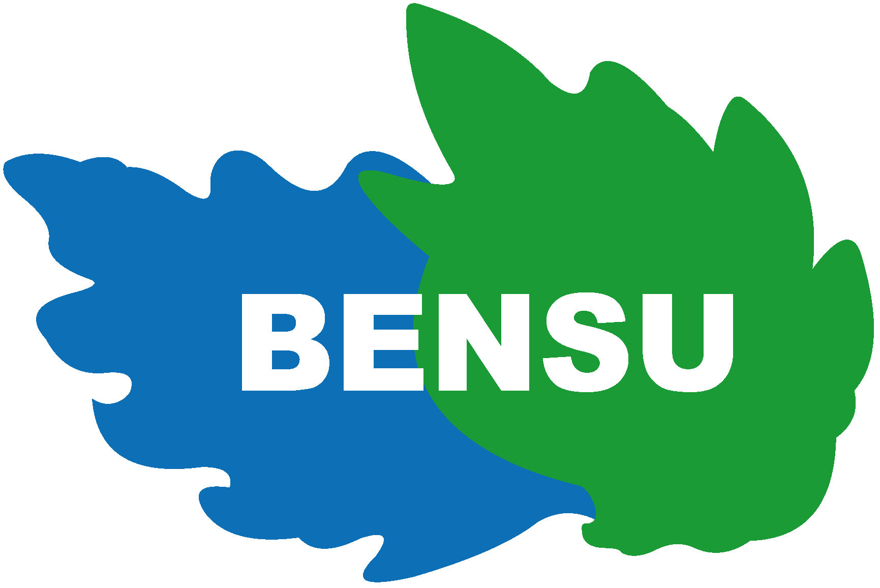 BENSU